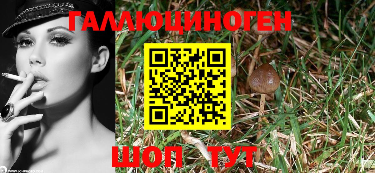 Кузнецк  Галлюциногенные грибы Magic Shrooms  Вход с VPN  Псилоцибиновые грибы GOLDEN TEACHER 